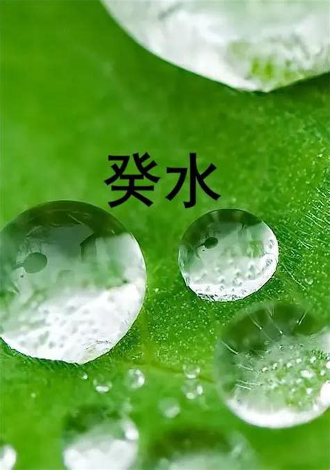 壬水性格|壬水日主人的性格分析